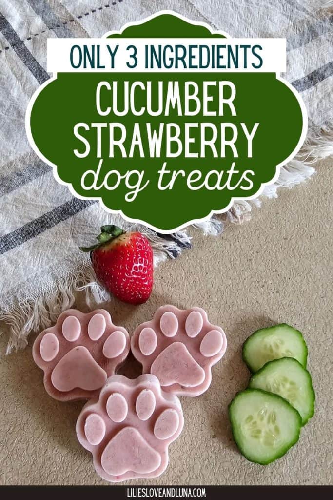 Three homemade dog treats shaped like paw prints, made with cucumber and strawberry, are displayed on a surface alongside fresh cucumber slices and a strawberry, illustrating a simple recipe for healthy frozen dog treats.