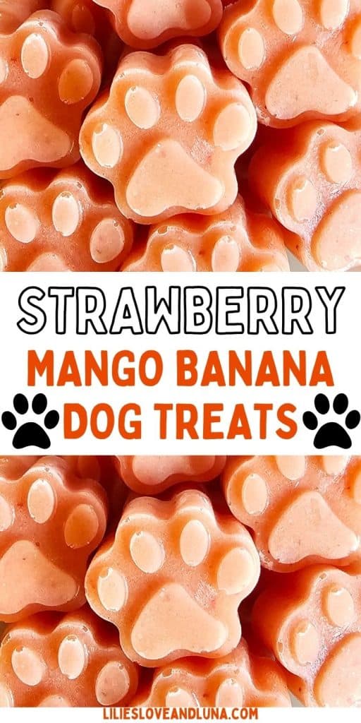 A close-up of paw-shaped frozen dog treats in shades of orange, labeled as "Strawberry Mango Banana Dog Treats."
