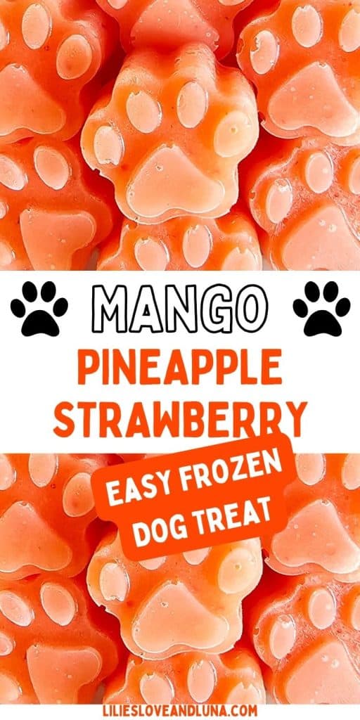 A smiling dog is featured prominently with visuals of mango, pineapple, and strawberry, along with text discussing safe fruits for dogs and referencing frozen dog treats.