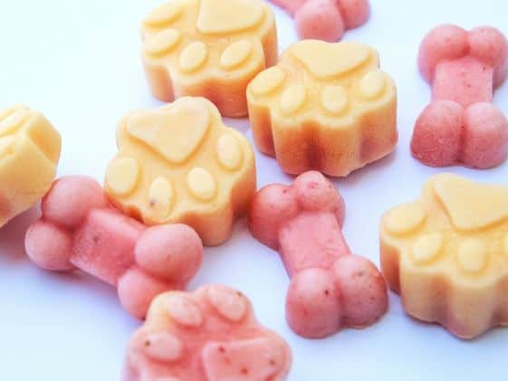 Paw and bone shaped frozen dog treats on a light surface.
