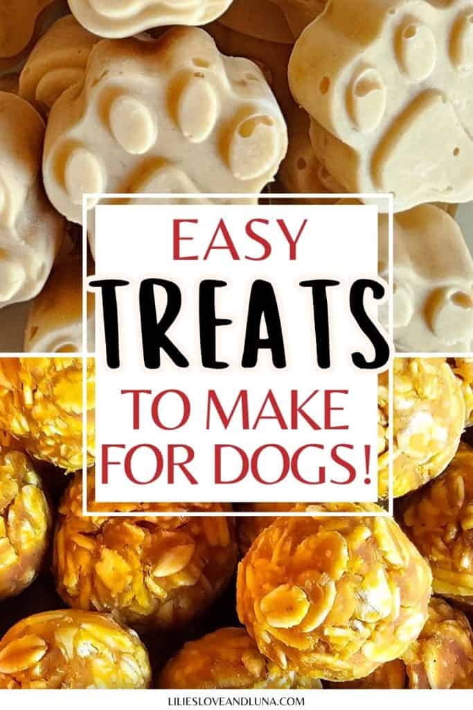 An assortment of homemade dog treats is featured, including paw-shaped treats and round oat-based balls, with a caption promoting easy recipes for making treats for dogs.
