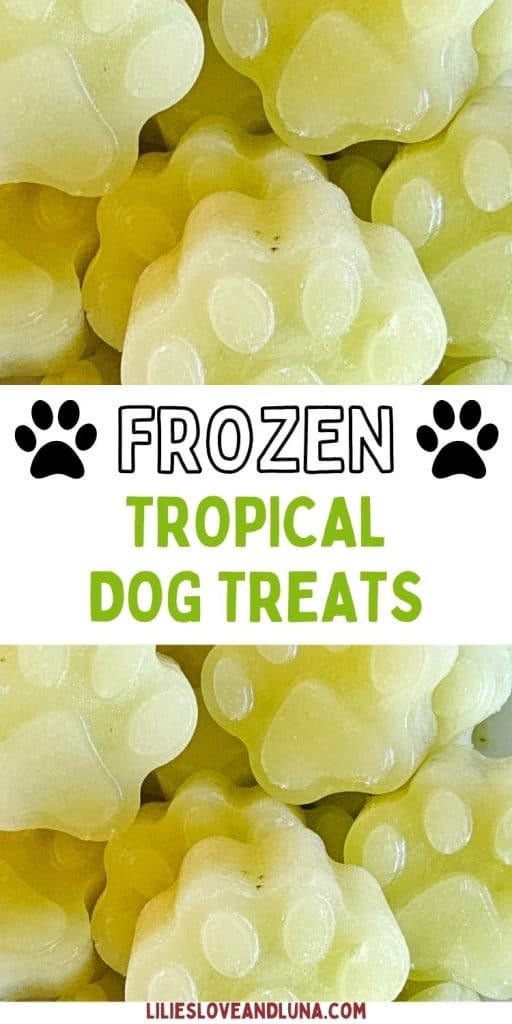 Pinterest graphic for Tropical Pup Pops featuring pale green frozen paw-shaped dog treats. The image shows a close-up of the frozen treats with a white banner across the center that reads "Frozen Tropical Dog Treats" in black and green text, surrounded by black paw print icons. The website URL LiliesLoveAndLuna.com appears at the bottom.